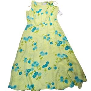 Plaza South Floral Maxi Dress Womens 14 Kiwi Aqua Sleeveless Chiffon NEW